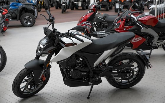 Neufahrzeug Malaguti Drakon 125 ABS - Bild 6