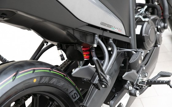 Neufahrzeug Malaguti Drakon 125 ABS - Bild 12