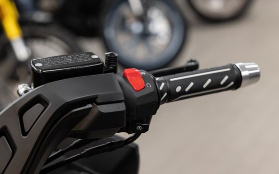 Neufahrzeug Mash Belena 125 - Bild 10