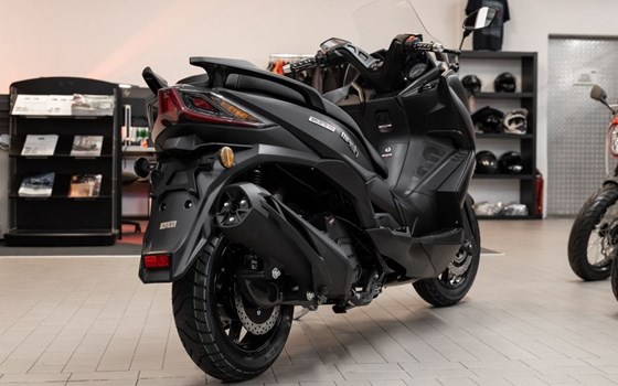 Neufahrzeug Mash Belena 125 - Bild 6