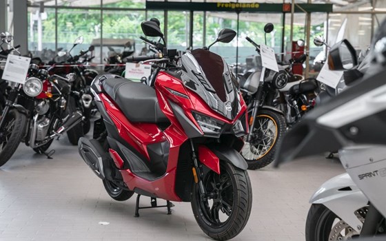 Gebrauchtmotorrad Sym Jet X 125 - Bild 2