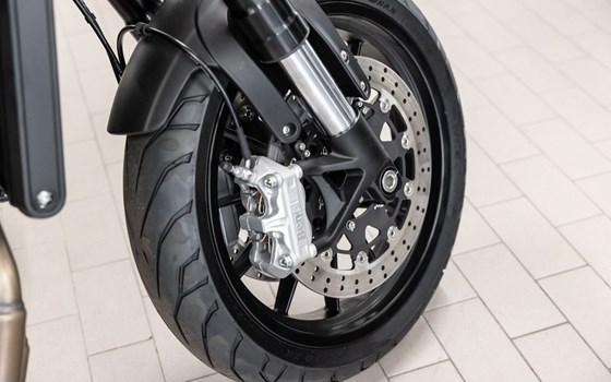 Neufahrzeug Benelli Leoncino 500 - Bild 15