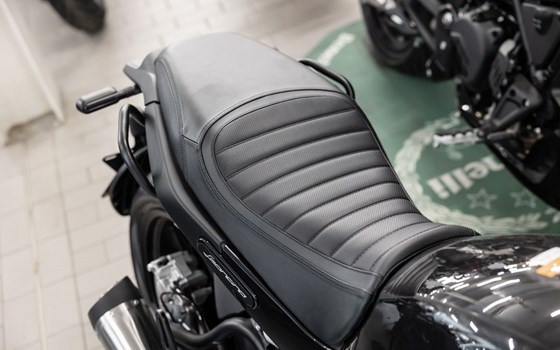 Neufahrzeug Benelli Leoncino 500 - Bild 17