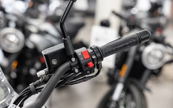 Neufahrzeug Benelli Leoncino 500 - Bild 19