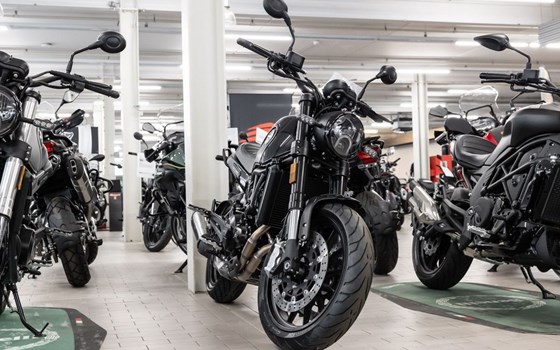 Neufahrzeug Benelli Leoncino 500 - Bild 2