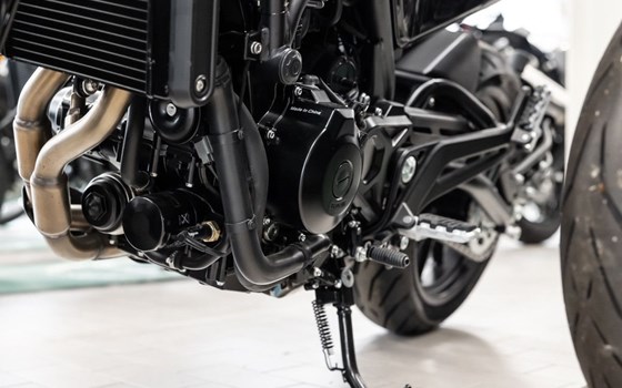 Neufahrzeug Benelli Leoncino 500 - Bild 22