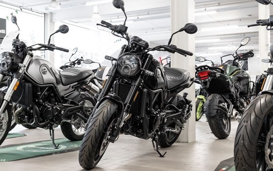 Neufahrzeug Benelli Leoncino 500 - Bild 3