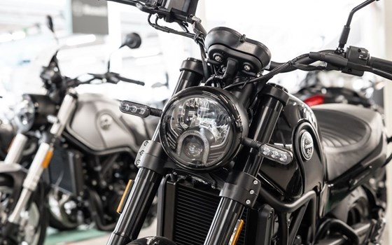 Neufahrzeug Benelli Leoncino 500 - Bild 7