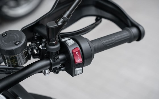 Neufahrzeug Voge DS900X - Bild 7