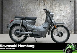 Neumotorrad Motron Cubertino