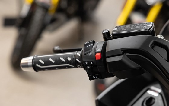 Neufahrzeug Mash Belena 125 - Bild 13