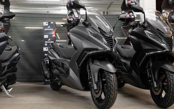 Neufahrzeug Mash Belena 125 - Bild 2