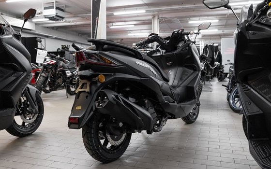 Neufahrzeug Mash Belena 125 - Bild 6