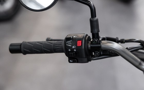 Neufahrzeug Kawasaki Eliminator 500 - Bild 8