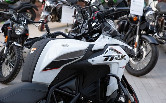 Neufahrzeug Benelli TRK 502 X - Bild 19