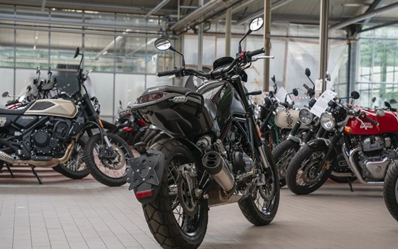 Gebrauchtmotorrad Benelli Leoncino 500 Trail - Bild 5