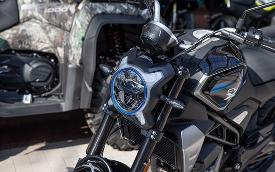 Neufahrzeug CFMOTO 300CL-X - Bild 3