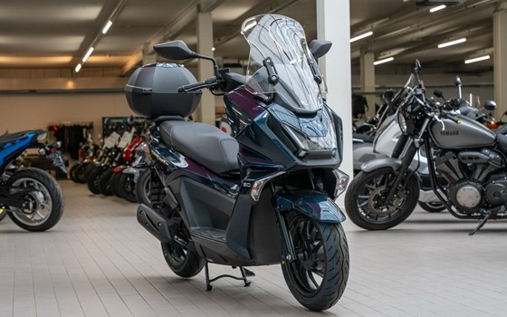 Neufahrzeug Kymco Sky Town 50i - Bild 4