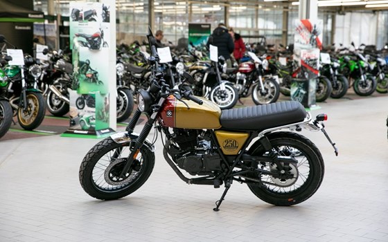 Neufahrzeug Brixton Cromwell 250 - Bild 2