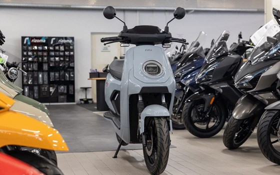 Neufahrzeug NIU MQi GT 70 - Bild 3