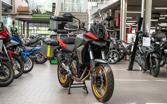 Neufahrzeug QJ Motor SRT 700 SX - Bild 4