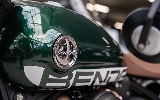 Neufahrzeug Benda Napoleonbob 250 - Bild 12