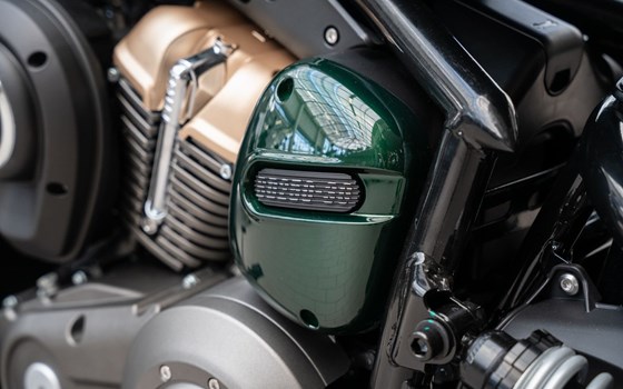 Neufahrzeug Benda Napoleonbob 250 - Bild 14