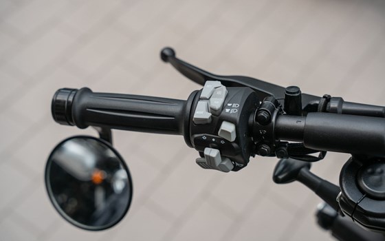 Neufahrzeug Benda Napoleonbob 250 - Bild 8