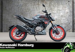 Neumotorrad Ligier IXO DCI Linea