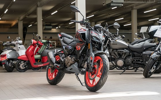 Neufahrzeug Ligier IXO DCI Linea - Bild 4