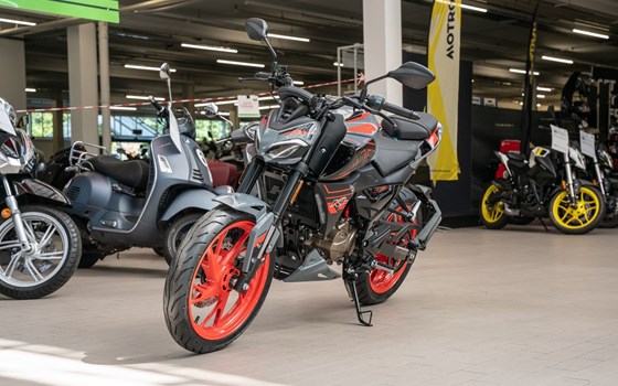 Neufahrzeug Ligier IXO DCI Linea - Bild 5