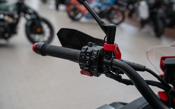 Neufahrzeug QJ Motor SRT 900 SX - Bild 9
