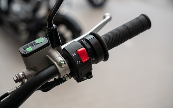 Neufahrzeug Ligier IXO DCI Linea - Bild 7