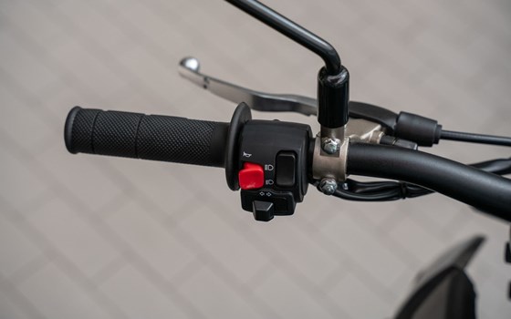 Neufahrzeug Ligier IXO DCI Linea - Bild 8