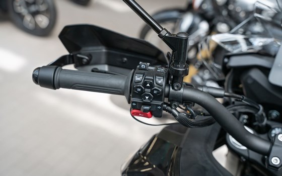 Neufahrzeug QJ Motor SRT 900 SX - Bild 11