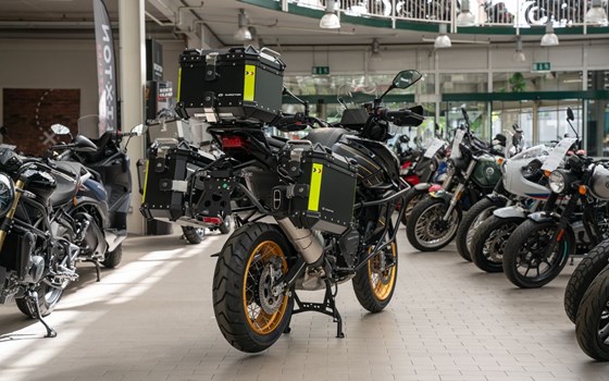 Neufahrzeug QJ Motor SRT 900 SX - Bild 6