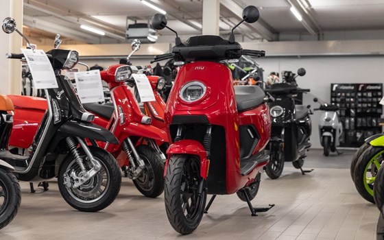 Neufahrzeug NIU MQi GT 70 - Bild 2