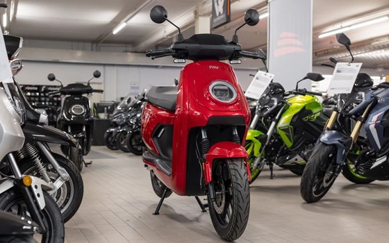 Neufahrzeug NIU MQi GT 70 - Bild 3