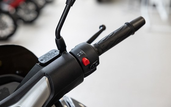 Neufahrzeug Malaguti Madison 125 - Bild 15