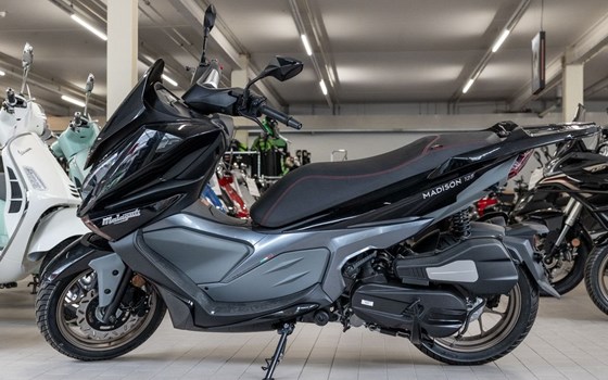 Neufahrzeug Malaguti Madison 125 - Bild 3