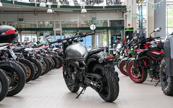 Neufahrzeug CFMOTO 450CL-C - Bild 2