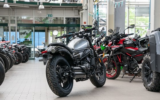 Neufahrzeug CFMOTO 450CL-C - Bild 4