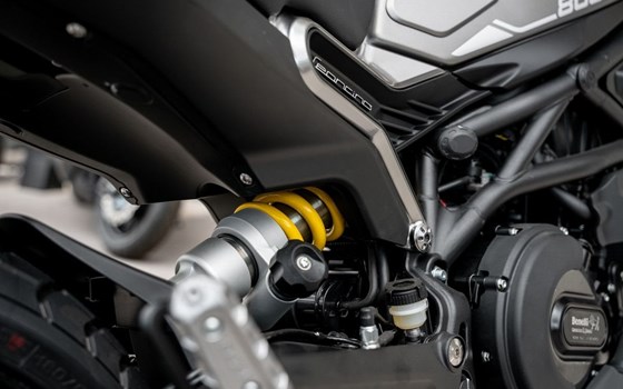 Neufahrzeug Benelli Leoncino 800 - Bild 17