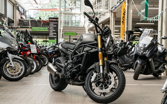 Neufahrzeug Benelli Leoncino 800 - Bild 5