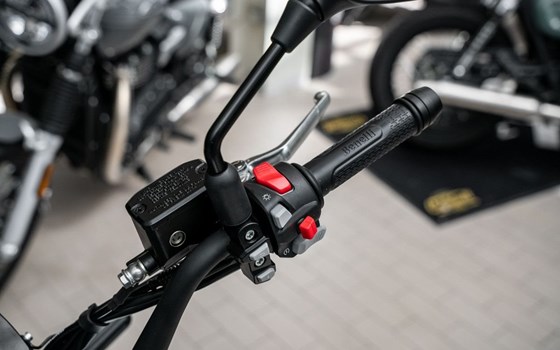 Neufahrzeug Benelli Leoncino 800 - Bild 7