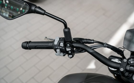 Neufahrzeug Benelli Leoncino 800 - Bild 9