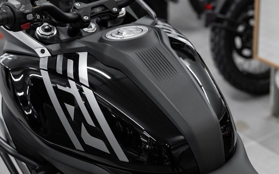 Neufahrzeug QJ Motor SRT 600 SX - Bild 10