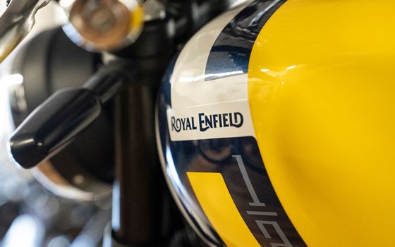 Neufahrzeug Royal Enfield Bear 650 - Bild 25