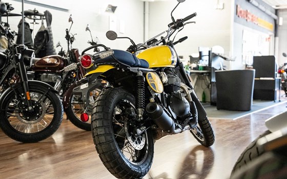 Neufahrzeug Royal Enfield Bear 650 - Bild 4