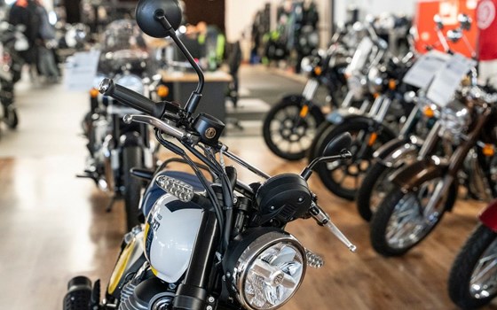 Neufahrzeug Royal Enfield Bear 650 - Bild 8